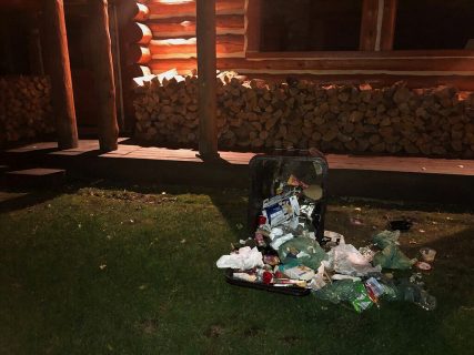 Wood River Valley black bears continue to get food rewards from residential garbage